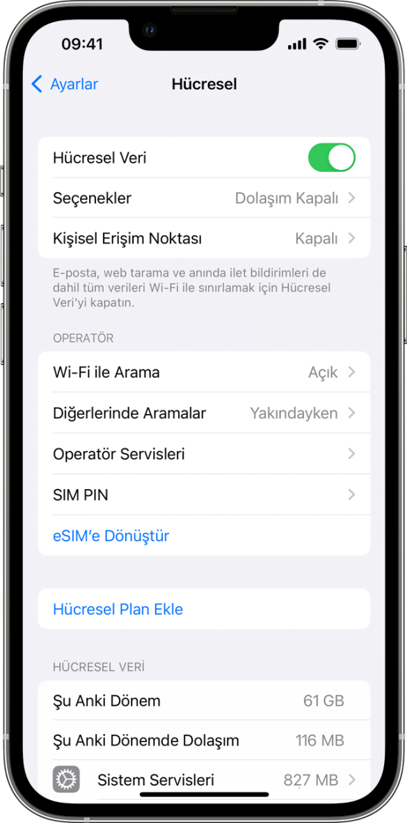 iPhone Hücresel Veri Açık Ama İnternete Giremiyorum